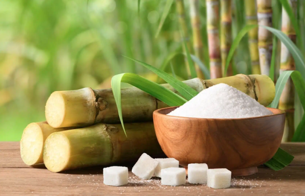 Thị trường Đường tháng 8/2026: Phân tích đà tăng đột biến và những tác động vĩ mô đa chiều